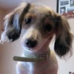 Meet your Posher, Cathy